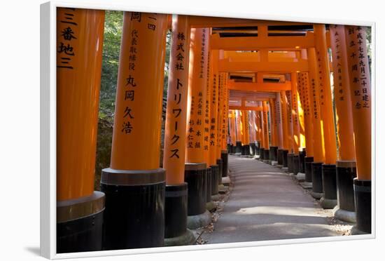 Senbon Torii (1,000 Torii Gates), Fushimi Inari Taisha Shrine, Kyoto, Japan-Stuart Black-Framed Photographic Print
