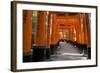 Senbon Torii (1,000 Torii Gates), Fushimi Inari Taisha Shrine, Kyoto, Japan-Stuart Black-Framed Photographic Print
