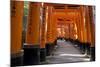Senbon Torii (1,000 Torii Gates), Fushimi Inari Taisha Shrine, Kyoto, Japan-Stuart Black-Mounted Photographic Print