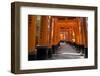 Senbon Torii (1,000 Torii Gates), Fushimi Inari Taisha Shrine, Kyoto, Japan-Stuart Black-Framed Photographic Print