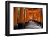 Senbon Torii (1,000 Torii Gates), Fushimi Inari Taisha Shrine, Kyoto, Japan-Stuart Black-Framed Photographic Print