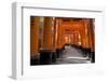 Senbon Torii (1,000 Torii Gates), Fushimi Inari Taisha Shrine, Kyoto, Japan-Stuart Black-Framed Photographic Print