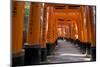 Senbon Torii (1,000 Torii Gates), Fushimi Inari Taisha Shrine, Kyoto, Japan-Stuart Black-Mounted Photographic Print