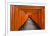 Senbon Torii, thousands of Torii gates, in Fushimi Inari Shrine, Kyoto, Japan-Keren Su-Framed Photographic Print