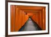 Senbon Torii, thousands of Torii gates, in Fushimi Inari Shrine, Kyoto, Japan-Keren Su-Framed Photographic Print