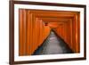 Senbon Torii, thousands of Torii gates, in Fushimi Inari Shrine, Kyoto, Japan-Keren Su-Framed Photographic Print