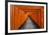 Senbon Torii, thousands of Torii gates, in Fushimi Inari Shrine, Kyoto, Japan-Keren Su-Framed Photographic Print