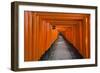 Senbon Torii, thousands of Torii gates, in Fushimi Inari Shrine, Kyoto, Japan-Keren Su-Framed Photographic Print