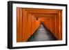 Senbon Torii, thousands of Torii gates, in Fushimi Inari Shrine, Kyoto, Japan-Keren Su-Framed Photographic Print