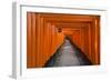 Senbon Torii, thousands of Torii gates, in Fushimi Inari Shrine, Kyoto, Japan-Keren Su-Framed Photographic Print