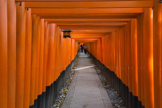 Senbon Torii Thousands Of Torii Gates In Fushimi Inari Shrine Kyoto Japan Premium Photographic Print Keren Su Allposters Com Senbon Torii Thousands Of Torii Gates In Fushimi Inari Shrine Kyoto Japan Premium Photographic Print Keren Su Allposters Com