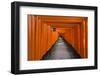 Senbon Torii, thousands of Torii gates, in Fushimi Inari Shrine, Kyoto, Japan-Keren Su-Framed Photographic Print