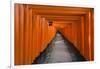 Senbon Torii, thousands of Torii gates, in Fushimi Inari Shrine, Kyoto, Japan-Keren Su-Framed Photographic Print