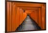 Senbon Torii, thousands of Torii gates, in Fushimi Inari Shrine, Kyoto, Japan-Keren Su-Framed Photographic Print