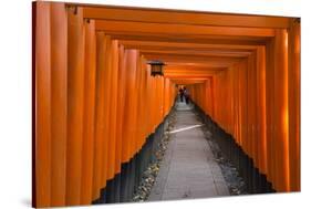 Senbon Torii, thousands of Torii gates, in Fushimi Inari Shrine, Kyoto, Japan-Keren Su-Stretched Canvas