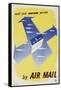 Send Your Overseas Parcels by Air Mail-HW Browning-Framed Stretched Canvas