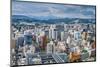 Sendai, Japan Cityscape-SeanPavonePhoto-Mounted Photographic Print