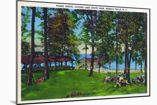 Seneca Falls, New York - Cayuga Lake State Park Scene-Lantern Press-Mounted Art Print