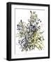 Senecio and other plants, 2003-Claudia Hutchins-Puechavy-Framed Giclee Print