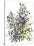 Senecio and other plants, 2003-Claudia Hutchins-Puechavy-Stretched Canvas