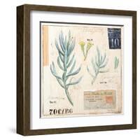 Senecio…Sketchbook-Angela Staehling-Framed Art Print