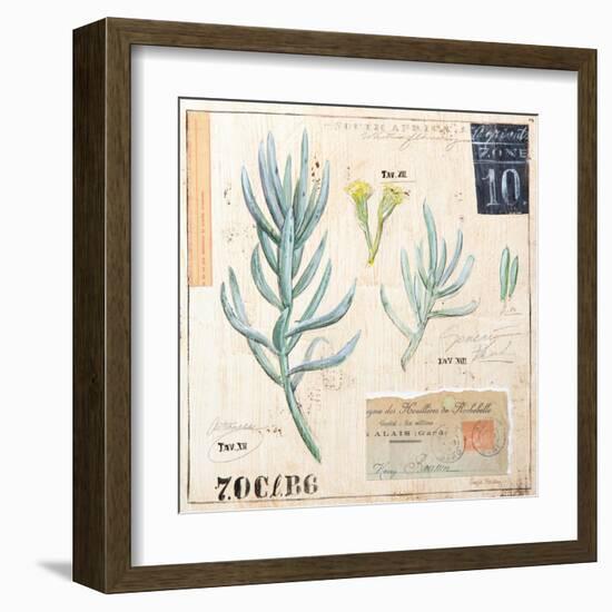 Senecio…Sketchbook-Angela Staehling-Framed Art Print