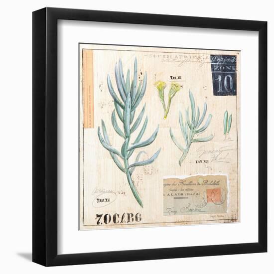 Senecio…Sketchbook-Angela Staehling-Framed Art Print