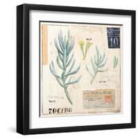 Senecio…Sketchbook-Angela Staehling-Framed Art Print