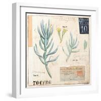 Senecio…Sketchbook-Angela Staehling-Framed Art Print