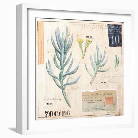 Senecio…Sketchbook-Angela Staehling-Framed Art Print