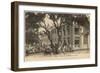 Senegal, Dakar 1913-null-Framed Art Print