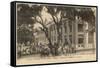 Senegal, Dakar 1913-null-Framed Stretched Canvas