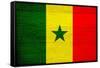 Senegal Flag Design with Wood Patterning - Flags of the World Series-Philippe Hugonnard-Framed Stretched Canvas