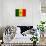 Senegal Flag Design with Wood Patterning - Flags of the World Series-Philippe Hugonnard-Art Print displayed on a wall