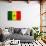 Senegal Flag Design with Wood Patterning - Flags of the World Series-Philippe Hugonnard-Art Print displayed on a wall