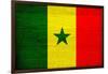 Senegal Flag Design with Wood Patterning - Flags of the World Series-Philippe Hugonnard-Framed Art Print