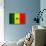 Senegal Flag Design with Wood Patterning - Flags of the World Series-Philippe Hugonnard-Stretched Canvas displayed on a wall