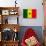 Senegal Flag Design with Wood Patterning - Flags of the World Series-Philippe Hugonnard-Stretched Canvas displayed on a wall