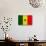 Senegal Flag Design with Wood Patterning - Flags of the World Series-Philippe Hugonnard-Stretched Canvas displayed on a wall