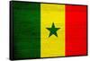 Senegal Flag Design with Wood Patterning - Flags of the World Series-Philippe Hugonnard-Framed Stretched Canvas