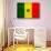 Senegal Flag Design with Wood Patterning - Flags of the World Series-Philippe Hugonnard-Stretched Canvas displayed on a wall