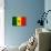 Senegal Flag Design with Wood Patterning - Flags of the World Series-Philippe Hugonnard-Stretched Canvas displayed on a wall