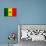 Senegal Flag Design with Wood Patterning - Flags of the World Series-Philippe Hugonnard-Stretched Canvas displayed on a wall