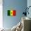 Senegal Flag Design with Wood Patterning - Flags of the World Series-Philippe Hugonnard-Art Print displayed on a wall