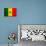 Senegal Flag Design with Wood Patterning - Flags of the World Series-Philippe Hugonnard-Art Print displayed on a wall