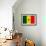 Senegal Flag Design with Wood Patterning - Flags of the World Series-Philippe Hugonnard-Framed Art Print displayed on a wall