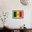 Senegal Flag Design with Wood Patterning - Flags of the World Series-Philippe Hugonnard-Framed Art Print displayed on a wall