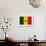 Senegal Flag Design with Wood Patterning - Flags of the World Series-Philippe Hugonnard-Framed Art Print displayed on a wall