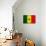 Senegal Flag Design with Wood Patterning - Flags of the World Series-Philippe Hugonnard-Mounted Art Print displayed on a wall