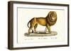 Senegal Lion, 1824-Karl Joseph Brodtmann-Framed Giclee Print